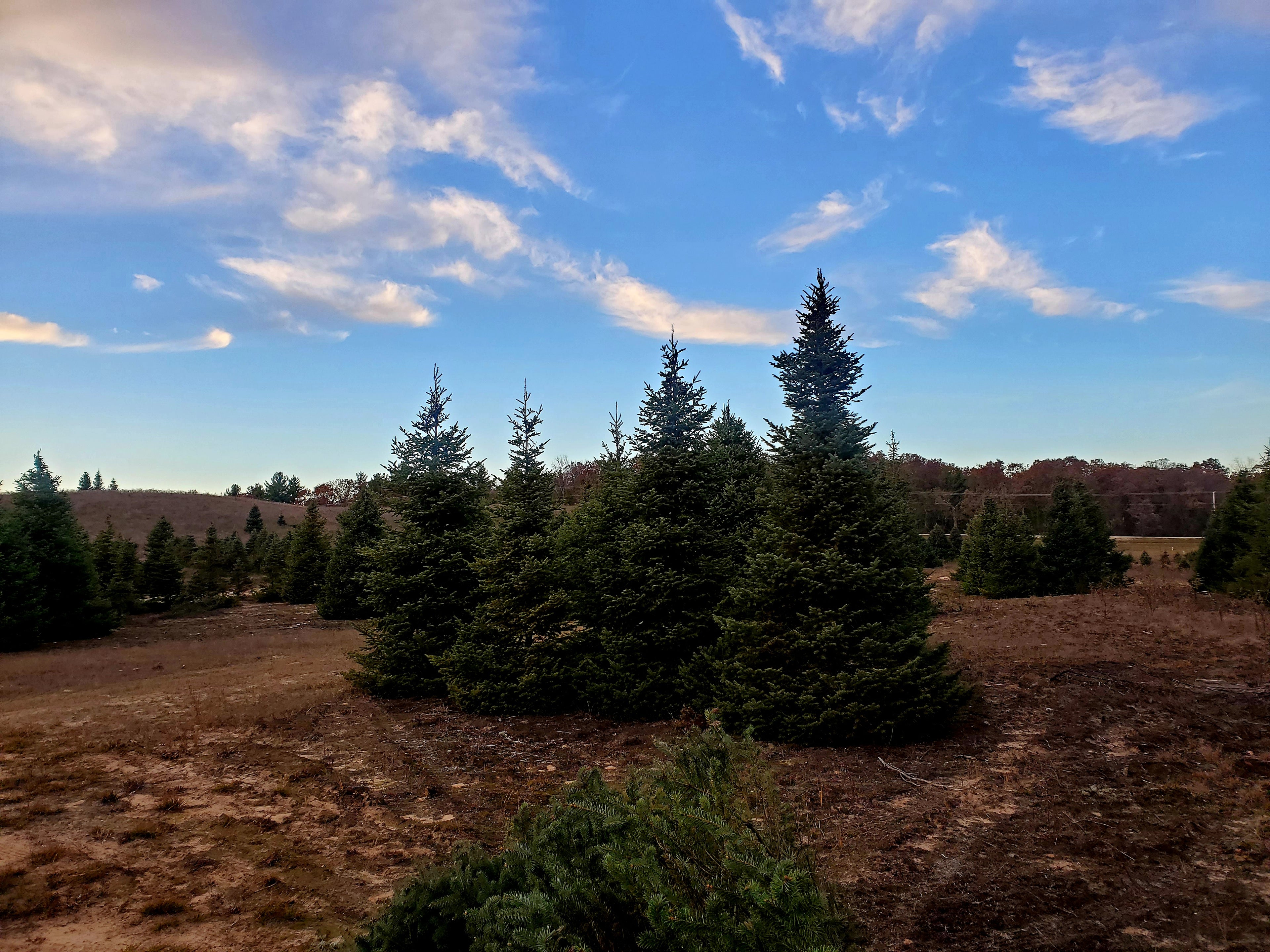 The Christmas Quick Fix Bundle!