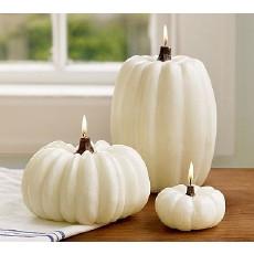 Pumpkins Chicago Large White Pumpkin