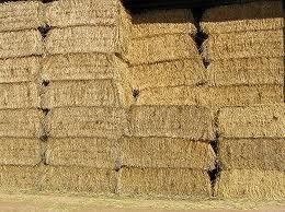 Pumpkins Chicago Hay Bales