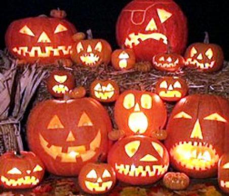 Pumpkins Chicago Large Orange Pumpkin